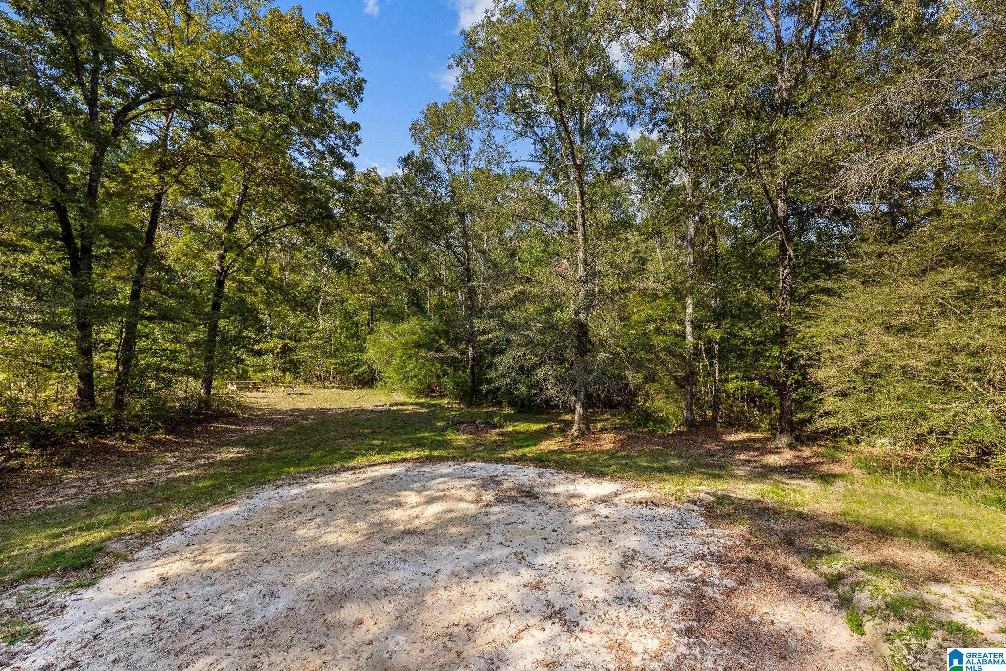 80 Honeysuckle Way Riverside, AL 35135 - Photo 4 of 27