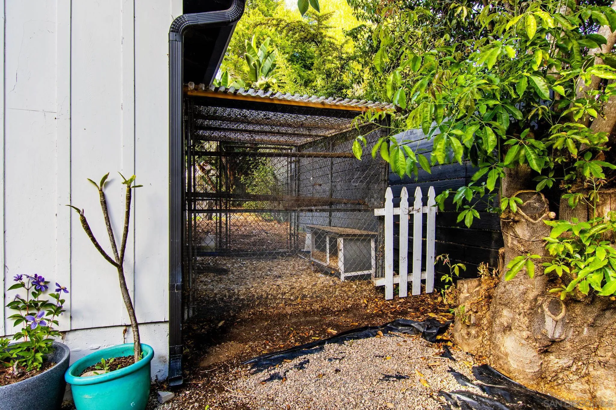 2335 Ivy Road Oceanside, CA 92054 - Photo 35 of 53 a view of a backyard with plants