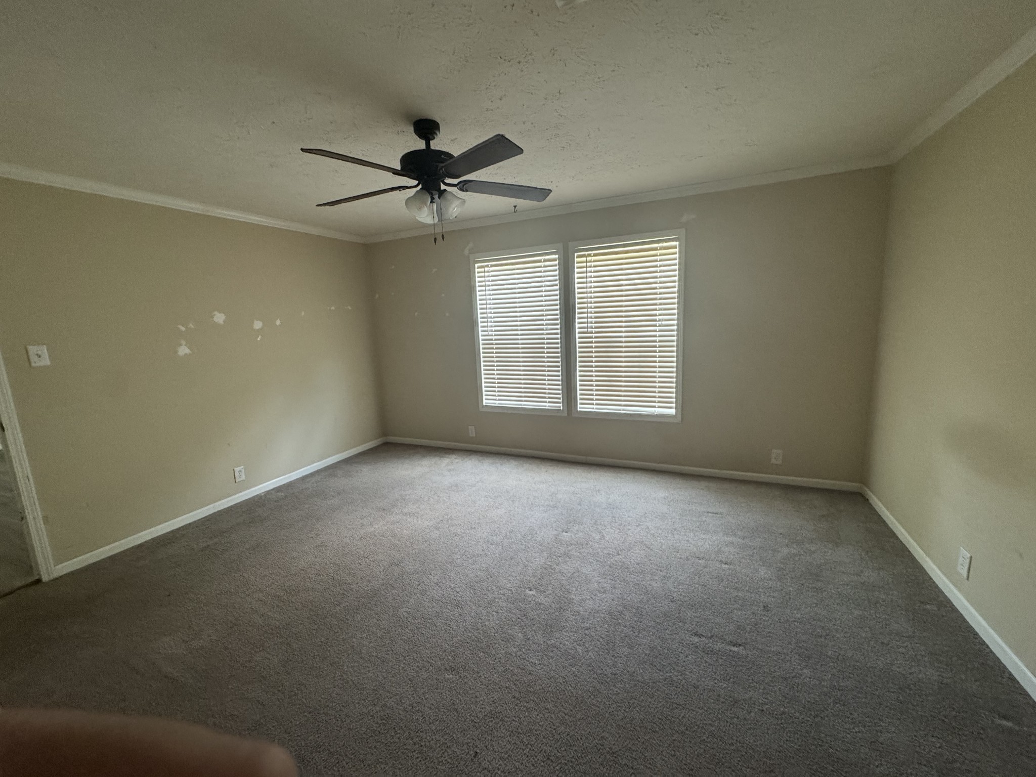 1763 Wade Brown Road Lewisburg, TN 37091 - Photo 5 of 17