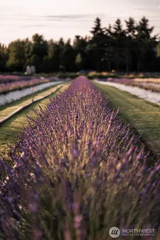 $1,599,990 | 14303 149th Place Northeast, Unit 36, Woodinville, WA 98072