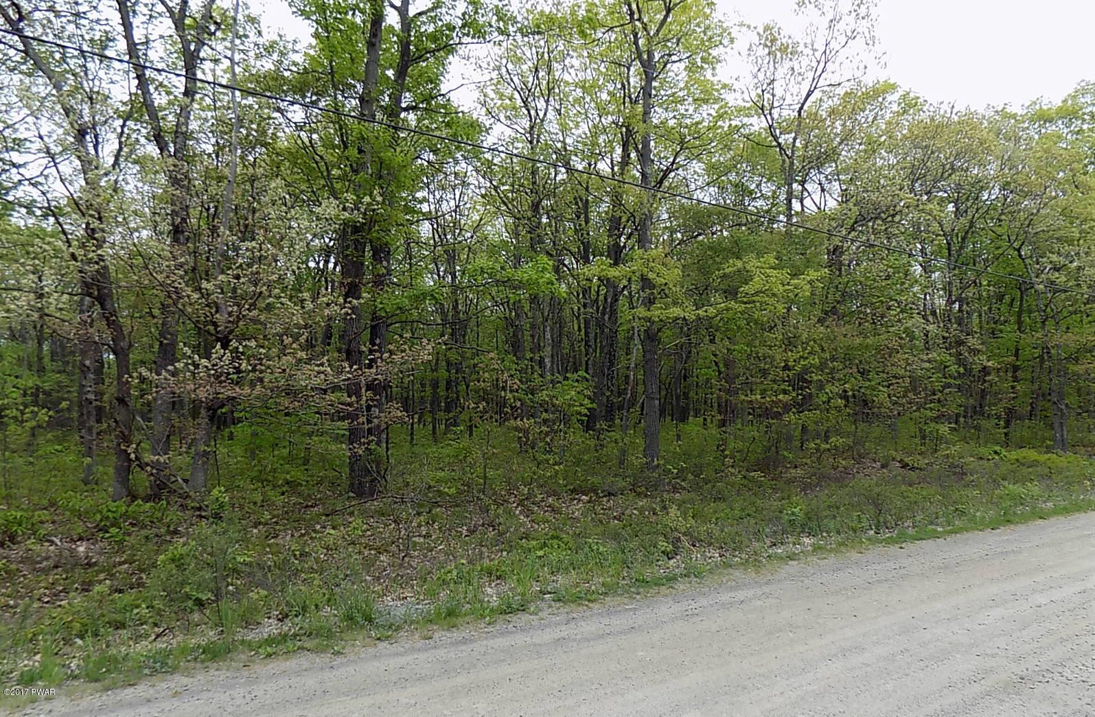 Lot 15 Bloss Road Road Canadensis, PA 18325 - Photo 3 of 6