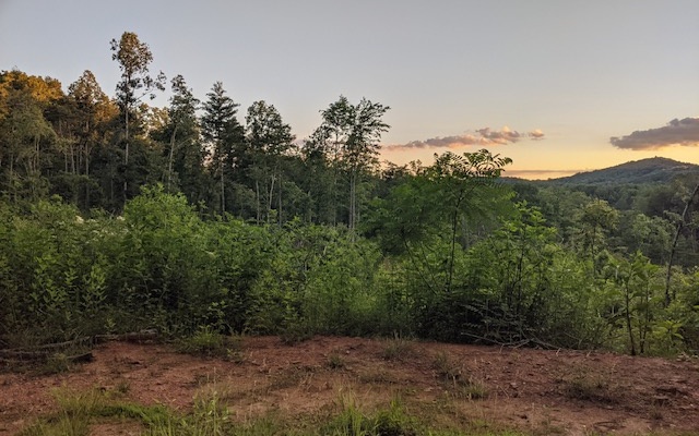 0 Cliff Raper Road Murphy, NC 28906 - Photo 1 of 4 Main View