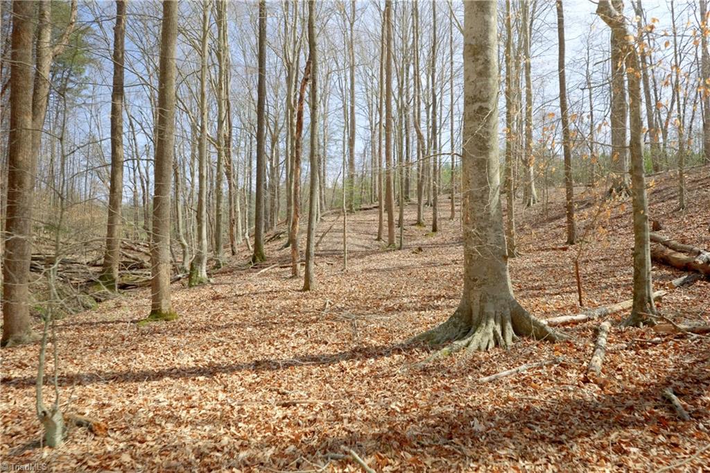 1019-11 George Road Westfield, NC 27053 - Photo 11 of 20