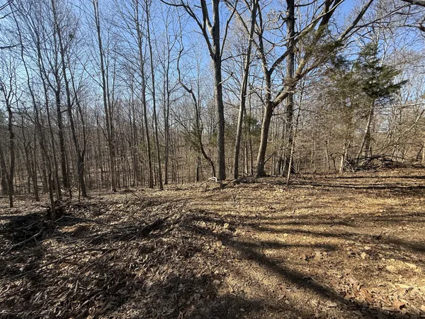 a view of a backyard of the house