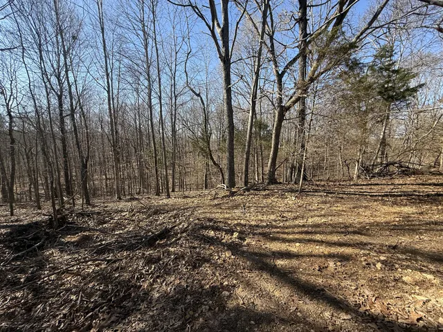 a view of a backyard of the house
