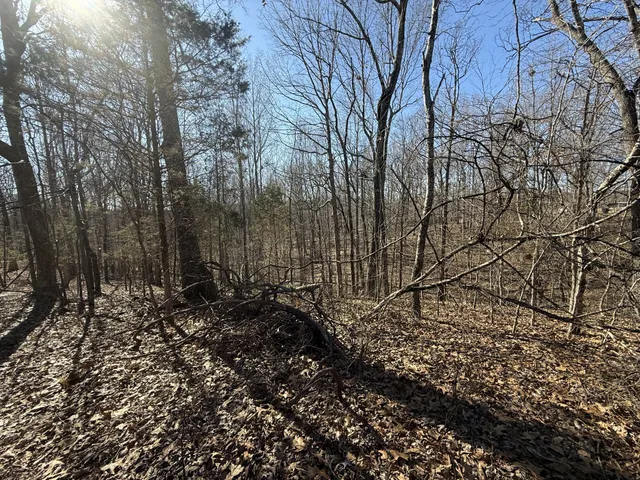 a big yard with lots of green space