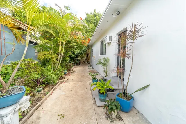 a potted plant sitting in front of a house