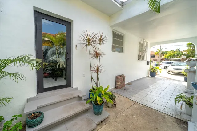 a potted plant sitting in front of a window