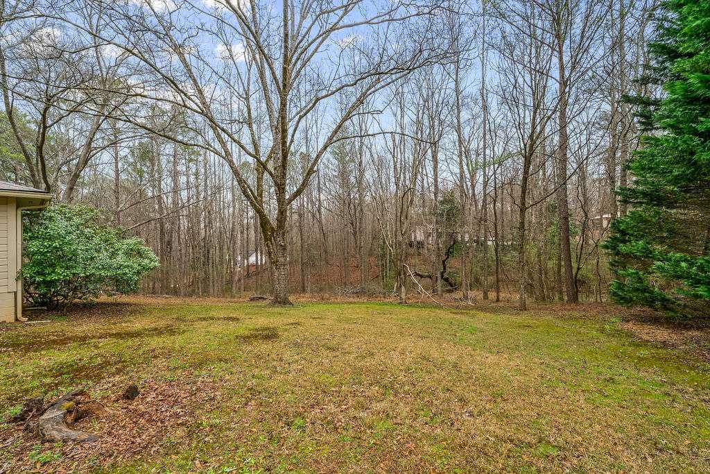 101 3rd Avenue Buchanan, GA 30113 - Photo 23 of 26