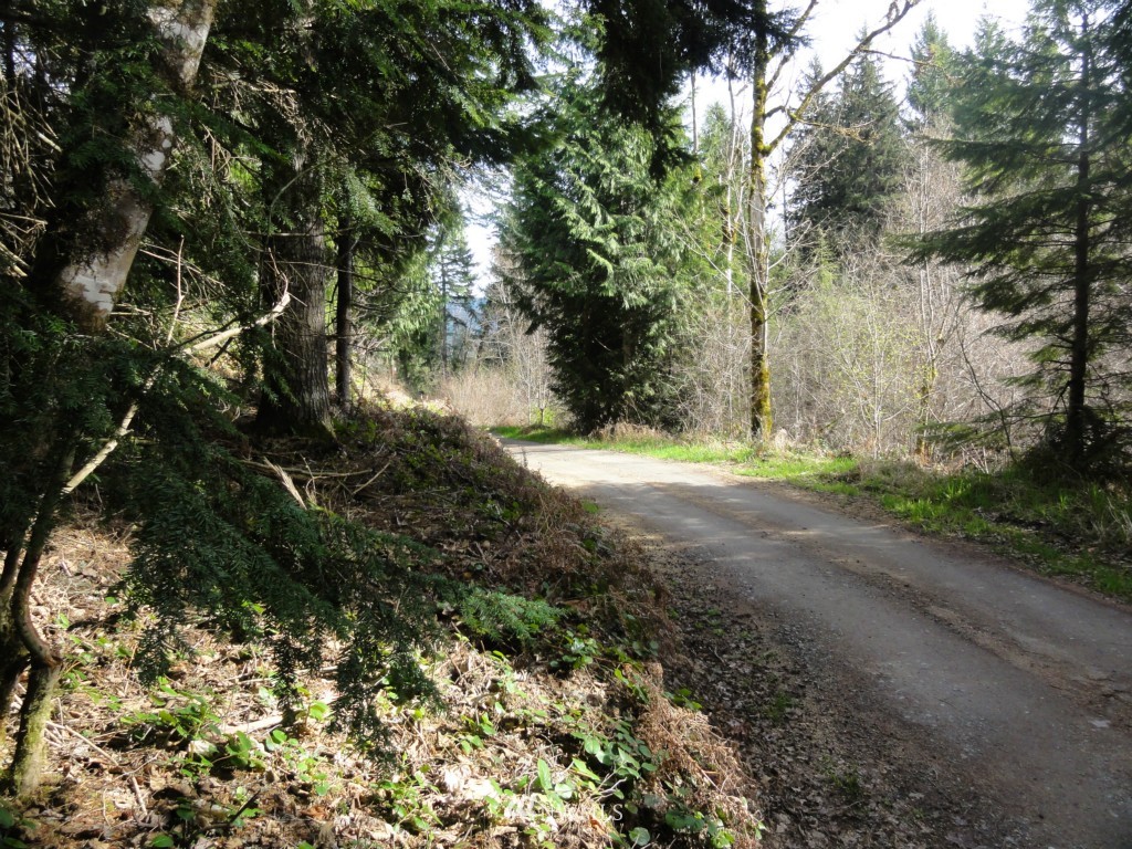 0 Old Barn Road Randle, WA 98377 - Photo 22 of 22 Gallery Image 22