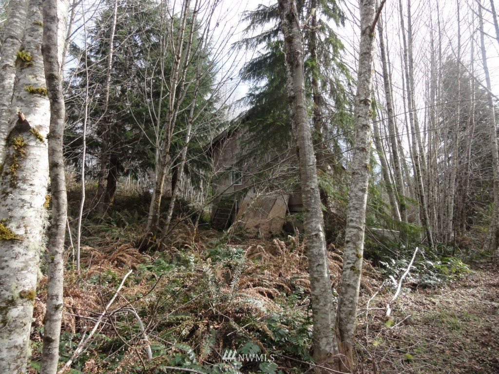 0 Old Barn Road Randle, WA 98377 - Photo 8 of 22 Gallery Image 8