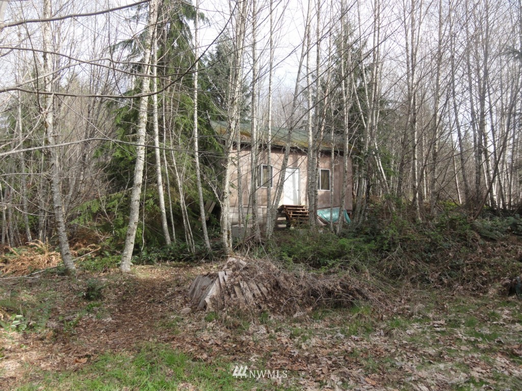 0 Old Barn Road Randle, WA 98377 - Photo 10 of 22 Gallery Image 10