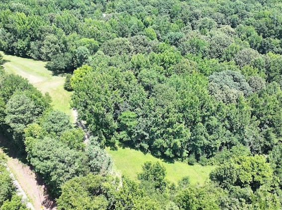 620 Eva Flatwoods Road Eva, TN 38333 - Photo 15 of 40