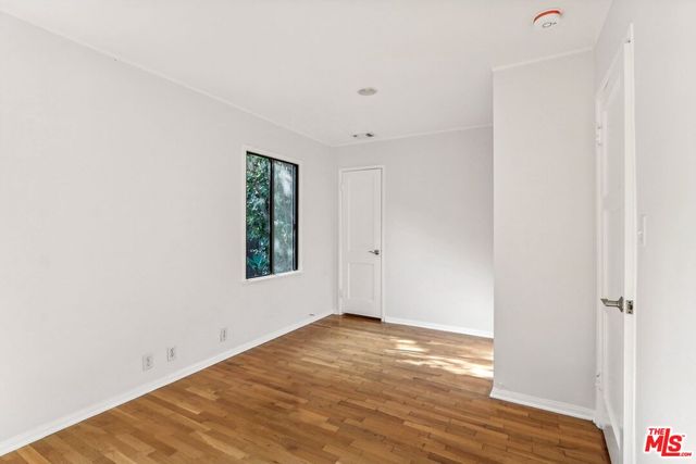 a backyard with potted plants and large trees