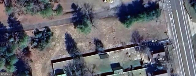 a close up of a tree