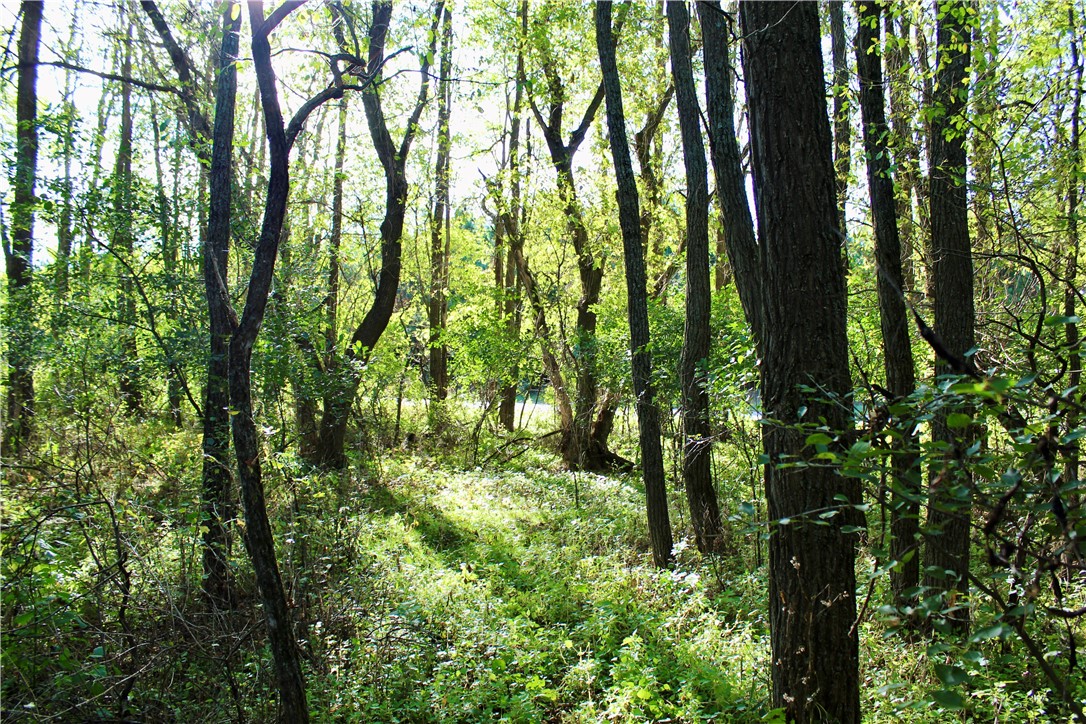 0 South Lowes Creek Road Eau Claire, WI 54701 - Photo 22 of 59