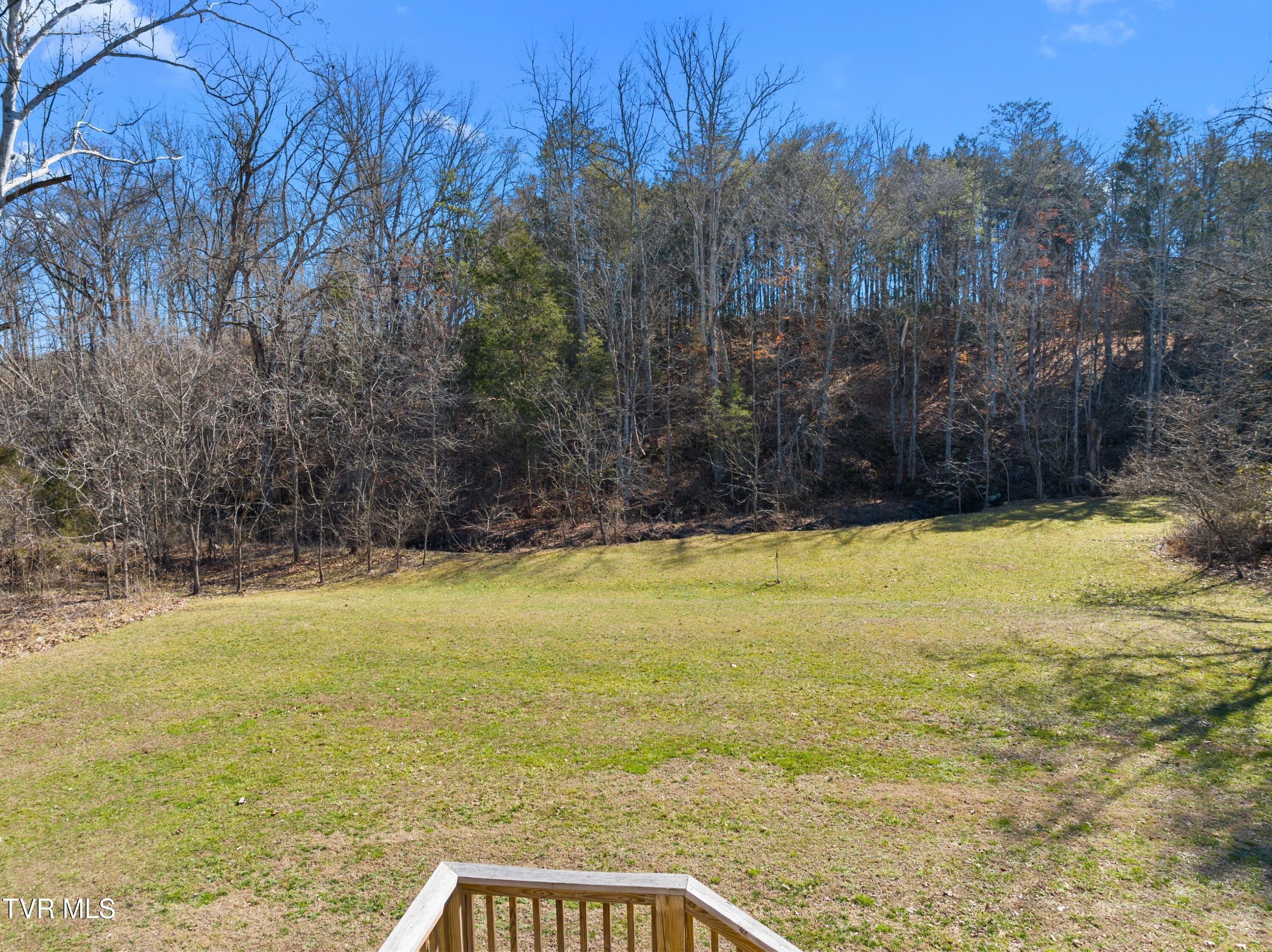 1358 Cherry Street Rutledge, TN 37861 - Photo 29 of 48 XJI_20240201131433_0450_D.jpg-SMALL