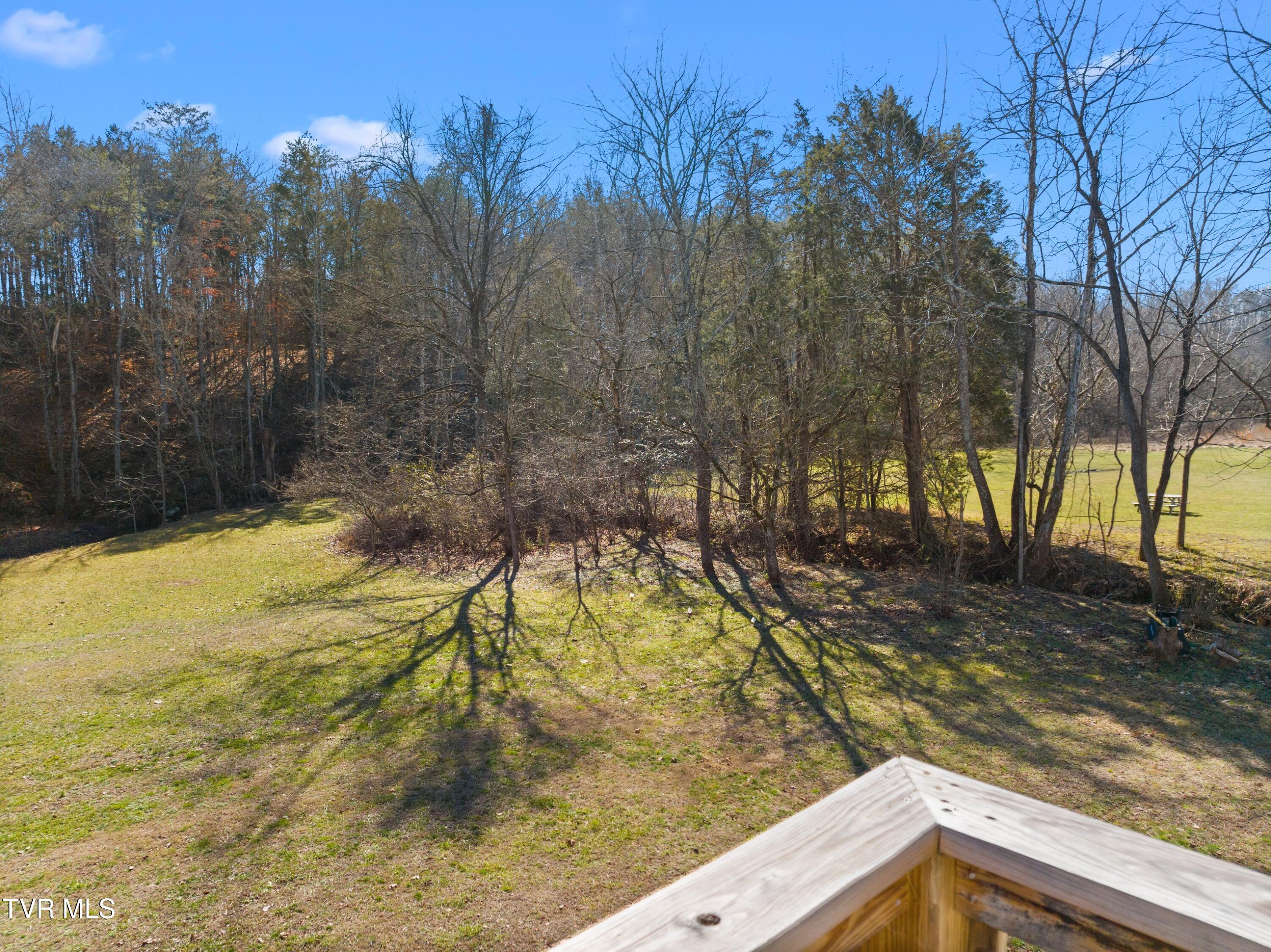 1358 Cherry Street Rutledge, TN 37861 - Photo 30 of 48 XJI_20240201131437_0453_D.jpg-SMALL