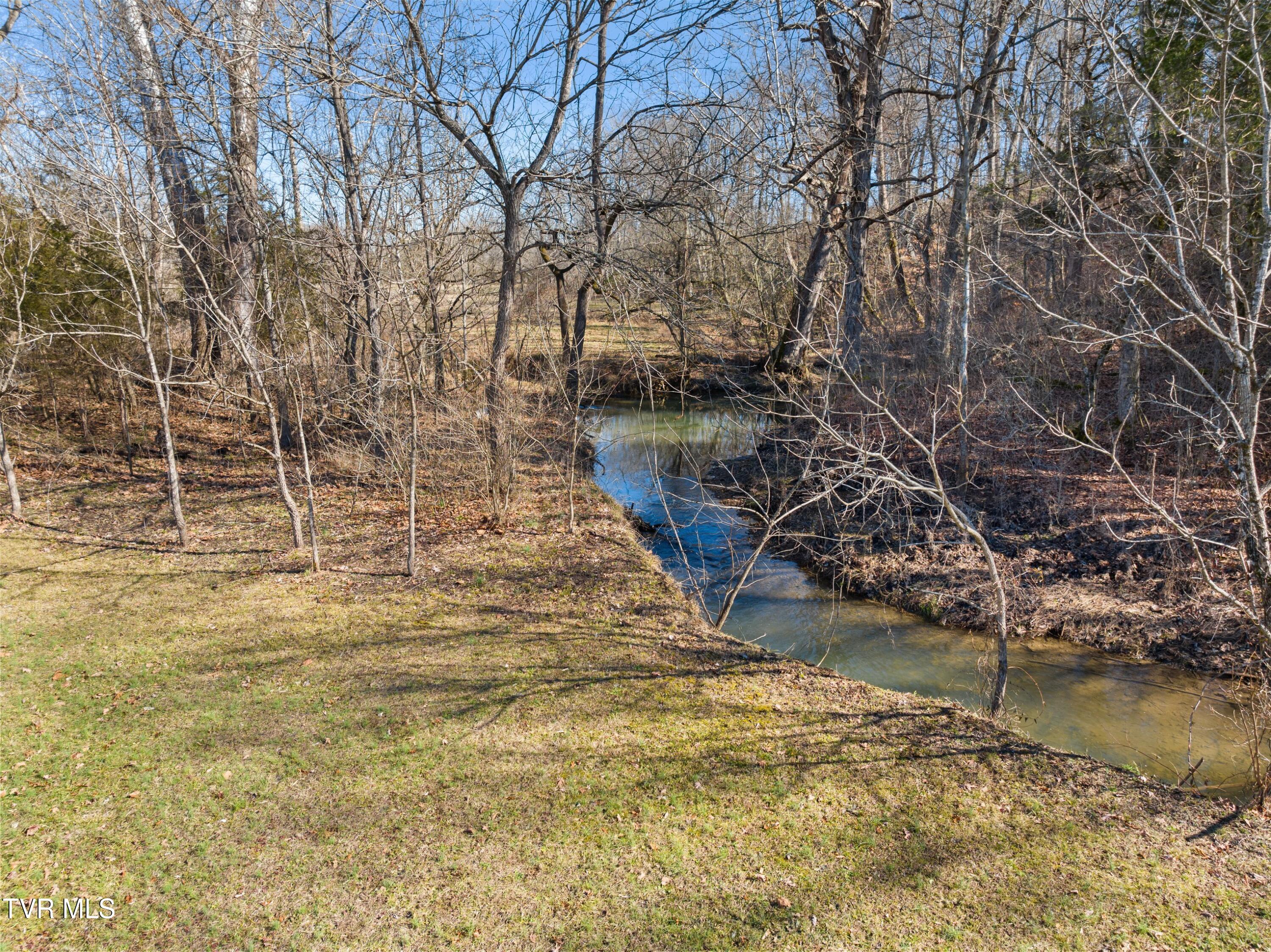 1358 Cherry Street Rutledge, TN 37861 - Photo 31 of 48 XJI_20240201131448_0460_D.jpg-SMALL