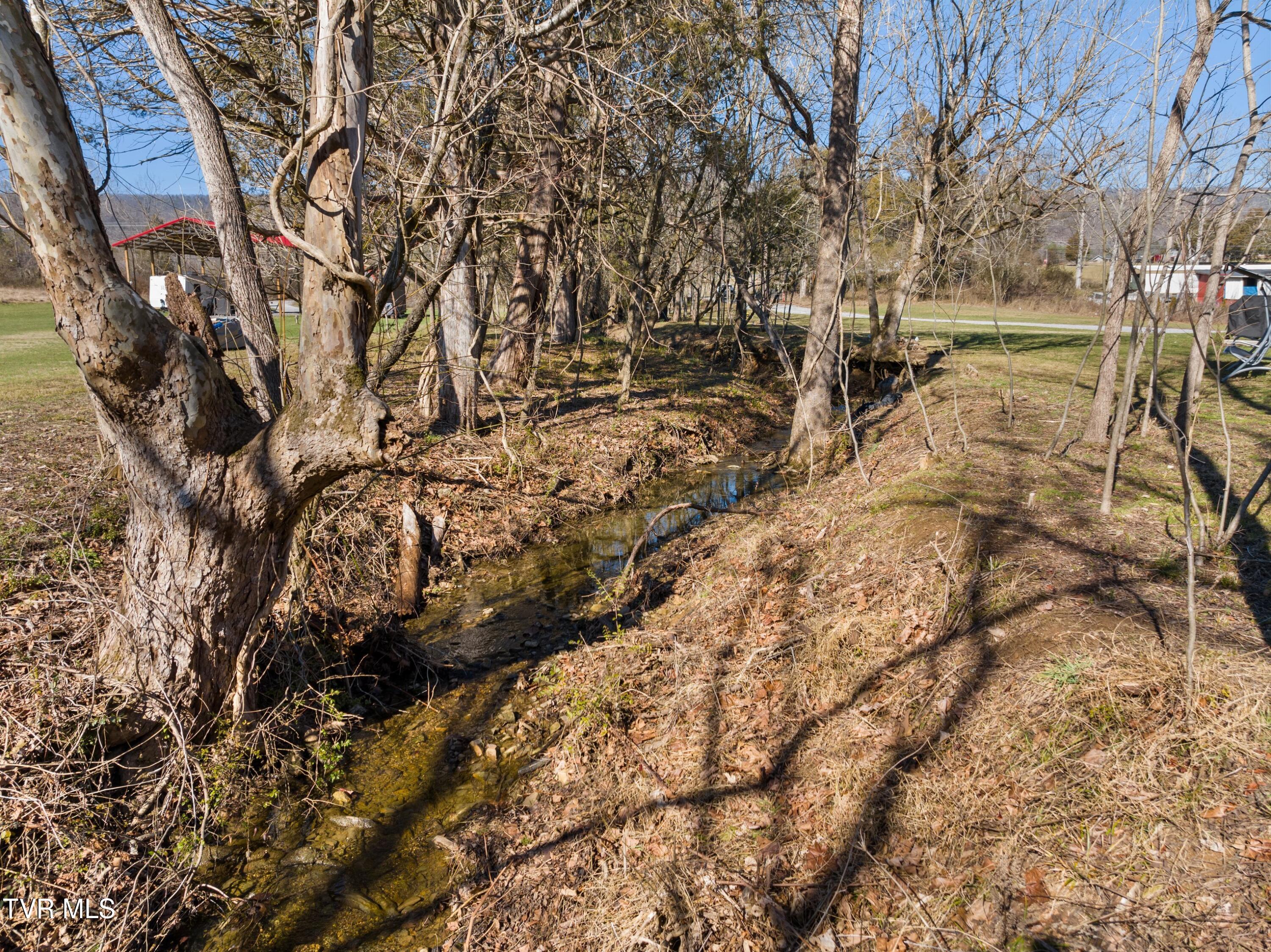 1358 Cherry Street Rutledge, TN 37861 - Photo 35 of 48 XJI_20240201131533_0480_D.jpg-SMALL