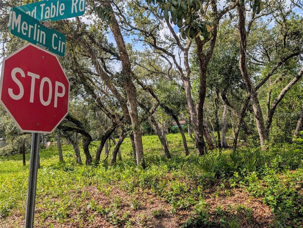 0 Merlin Circle Dade City, FL 33523 - Photo 4 of 8