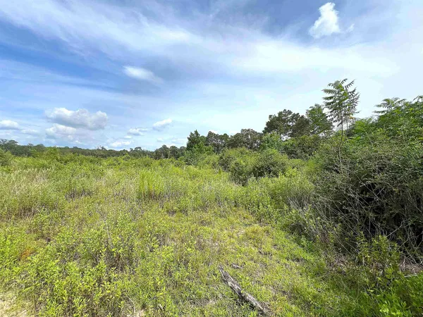 $1,499,000 | 10215 East Gentry Road, Silsbee, TX 77656