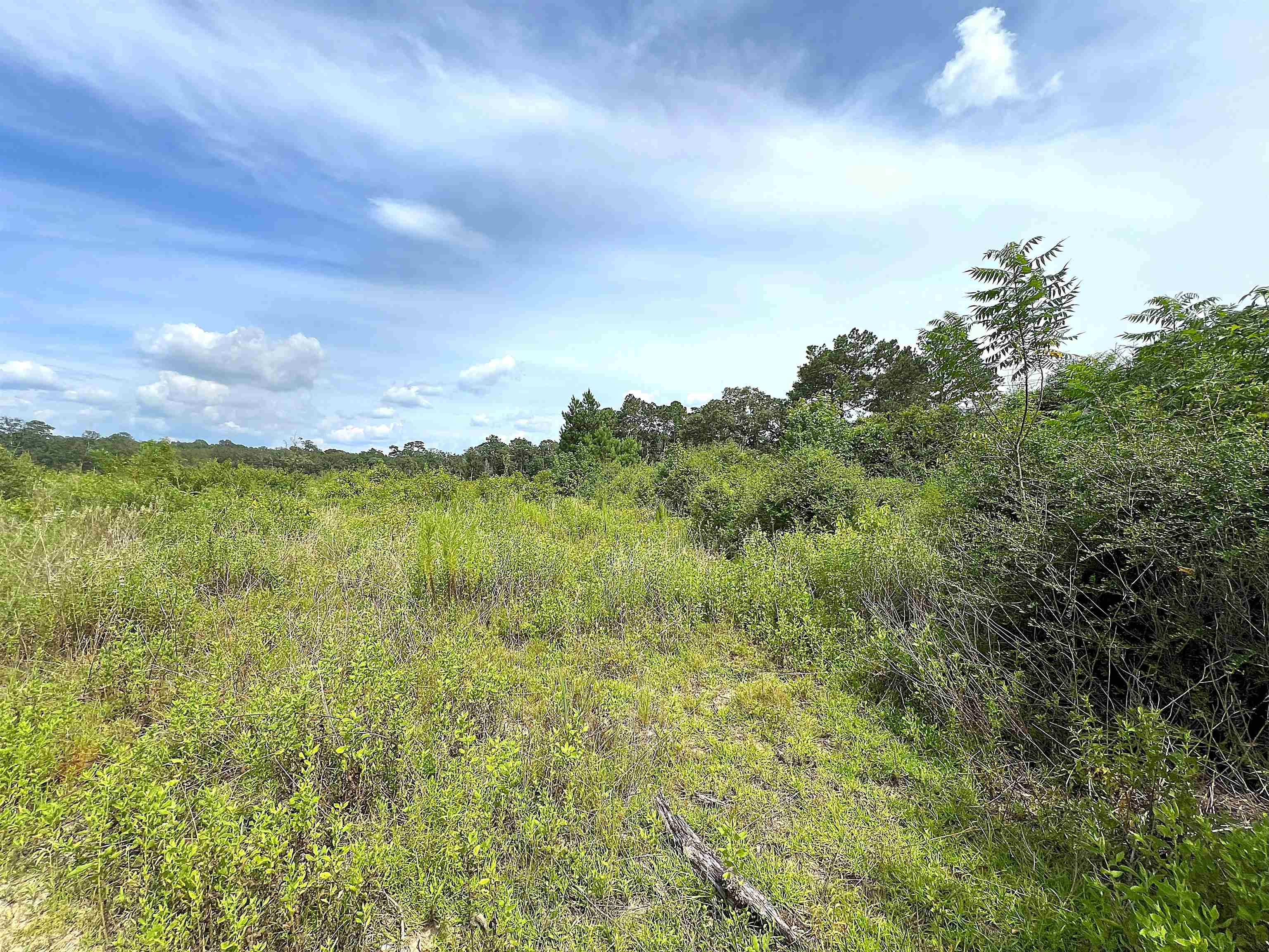 10215 East Gentry Road Silsbee, TX 77656 - Photo 1 of 3