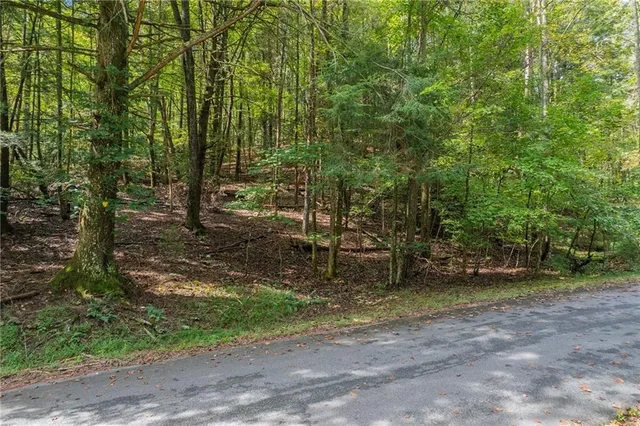 $14,500 | 695 Satsuma Court, Ellijay, GA 30540