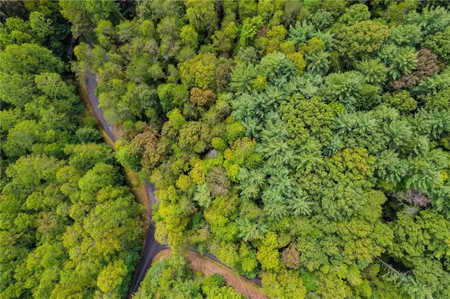 $14,500 | 695 Satsuma Court, Ellijay, GA 30540