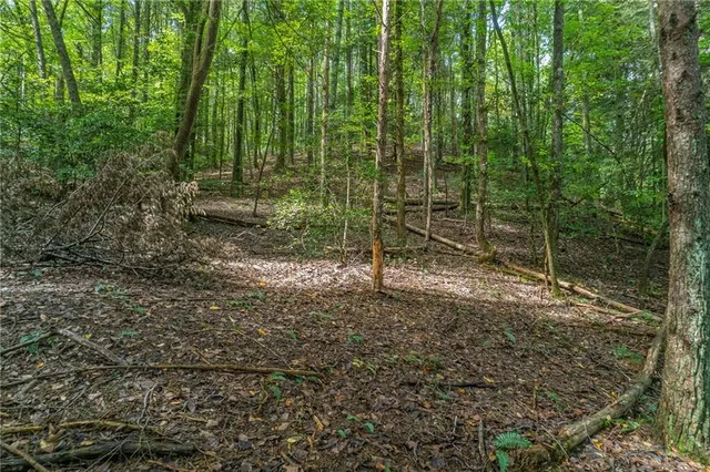 $14,500 | 695 Satsuma Court, Ellijay, GA 30540