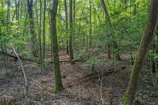 $14,500 | 695 Satsuma Court, Ellijay, GA 30540