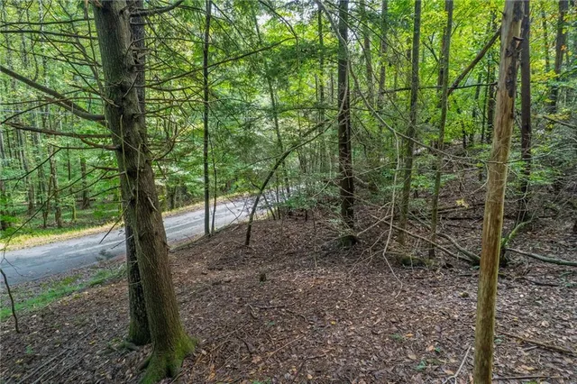 $14,500 | 695 Satsuma Court, Ellijay, GA 30540