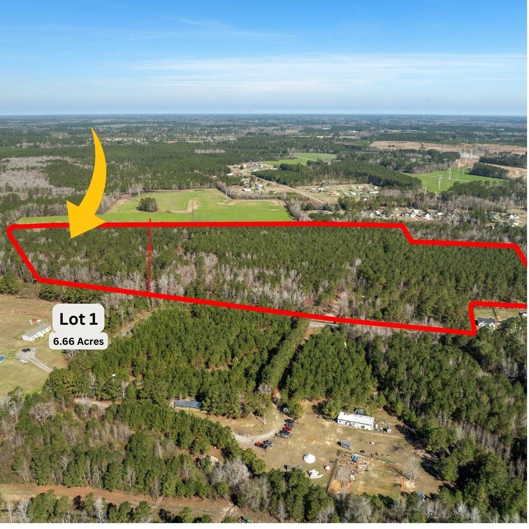 Tbd - Lot 1-2 Tbd - Drive Loris, SC 29569 - Photo 2 of 17