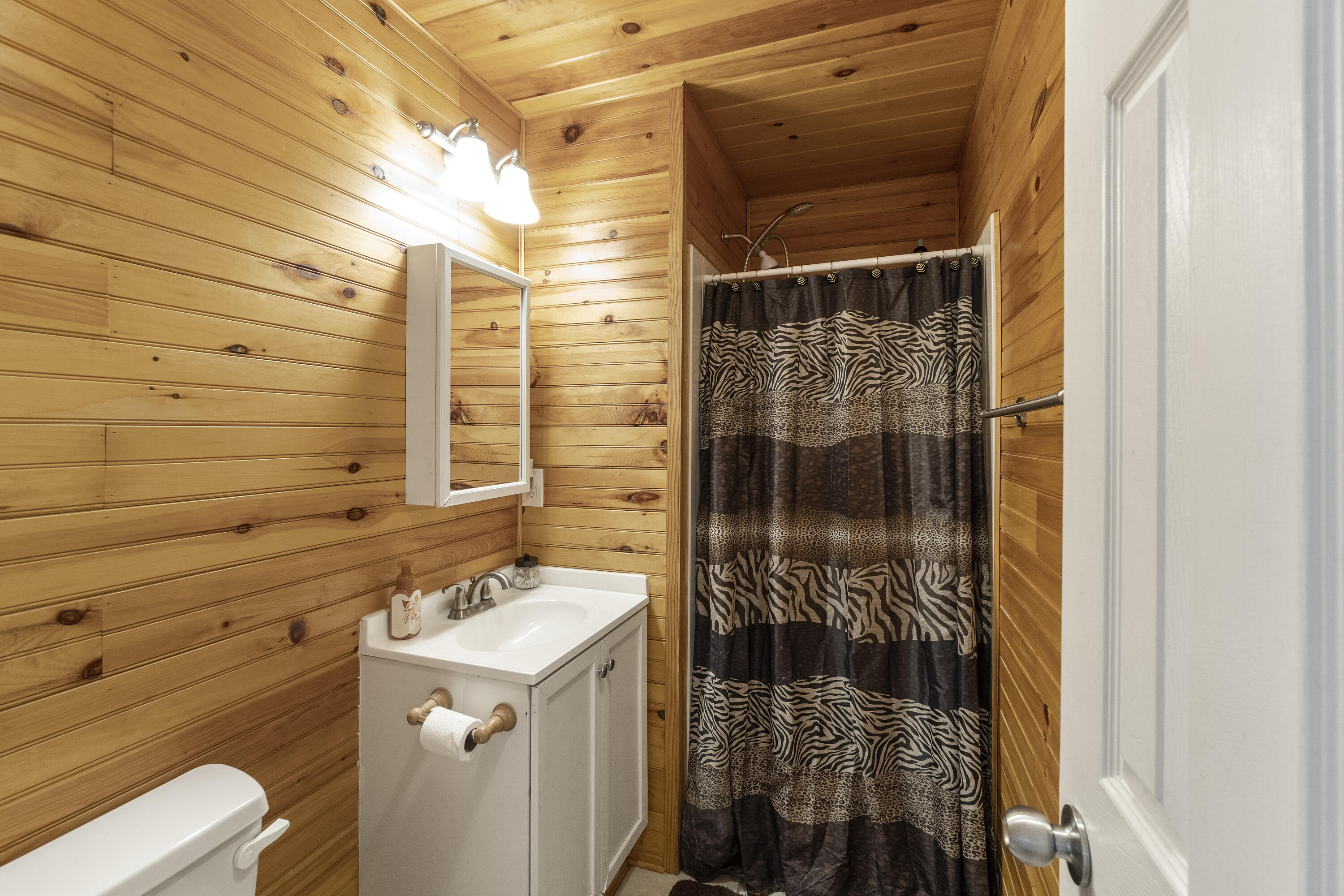 5416 Lakeshore Drive Bean Station, TN 37708 - Photo 44 of 49 DSC02900