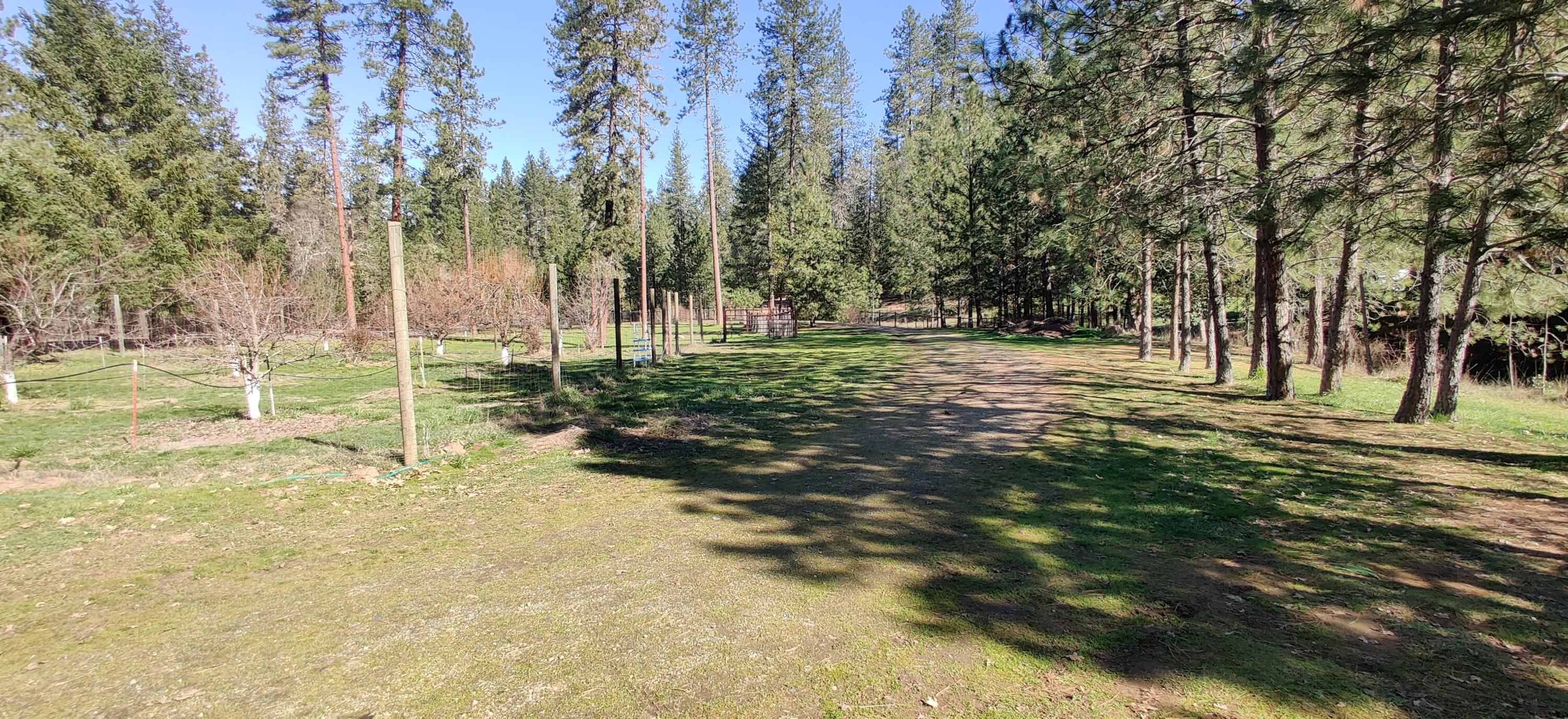 1625 Robertson Bridge Road Grants Pass, OR 97526 - Photo 29 of 45 IMG_20220218_121204