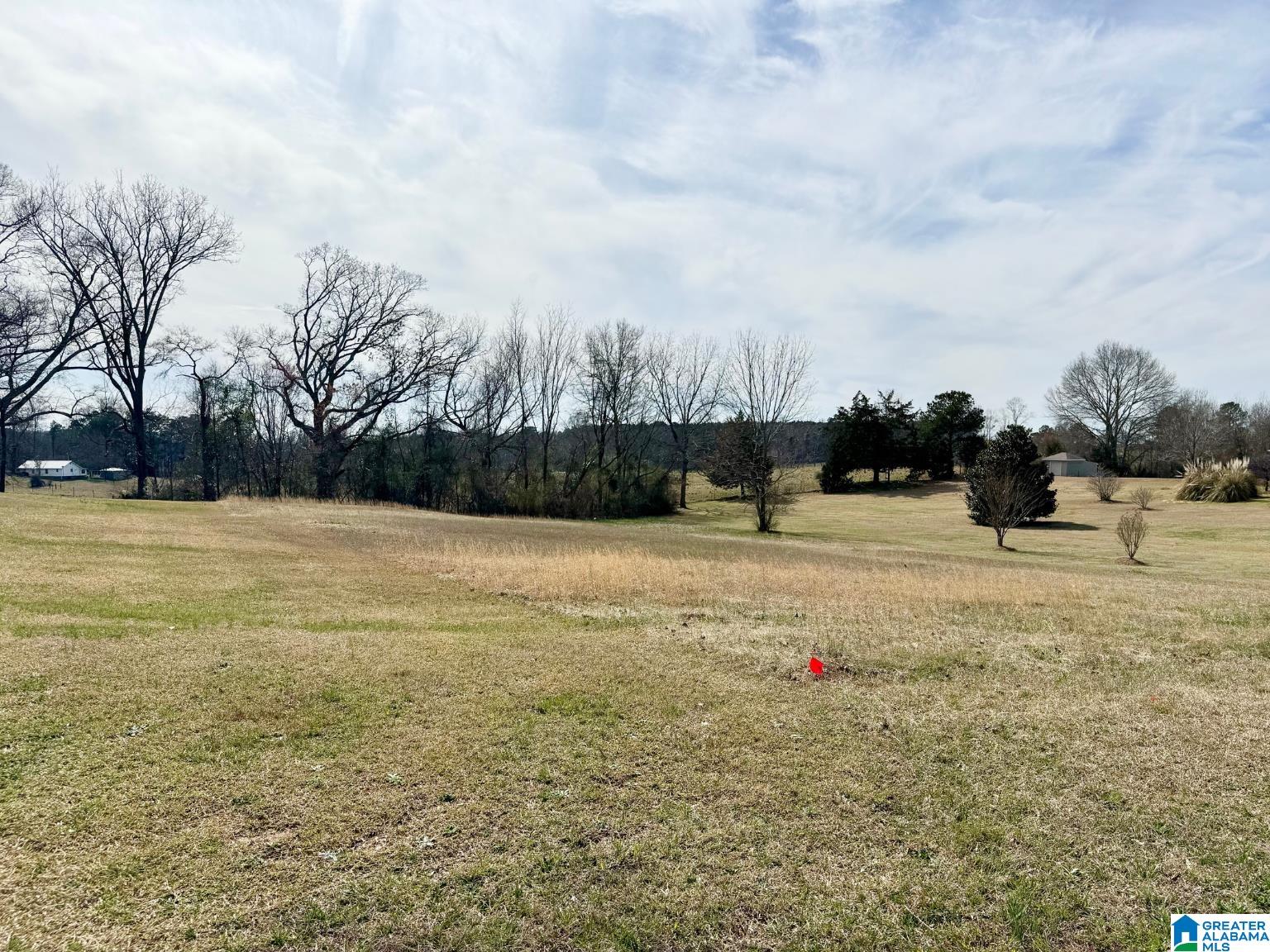 0 Oakview Way, Unit 20 Roanoke, AL 36274 - Photo 1 of 3