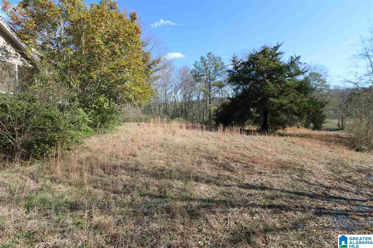 39 Peters Road Talladega, AL 35160 - Photo 15 of 18
