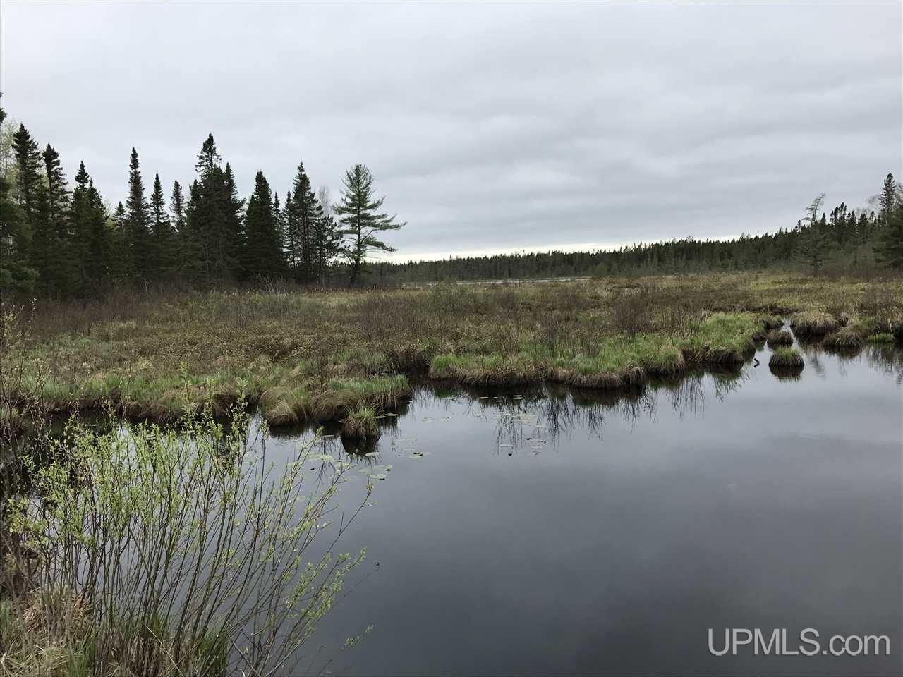 40-ac Kelso Road Crystal Falls, MI 49920 - Photo 21 of 21