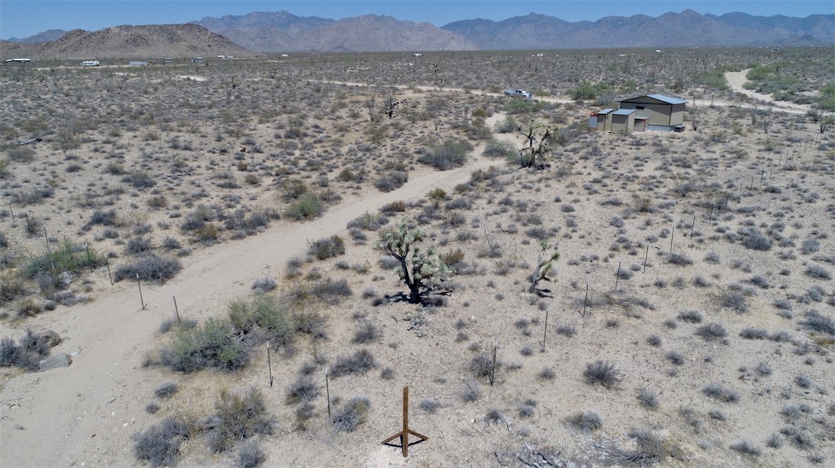 245-19-158a Desert View Road Yucca, AZ 86438 - Photo 15 of 17