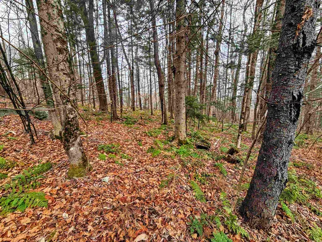 $439,000 | 210 Burrington Hill Road, Whitingham, VT 05361