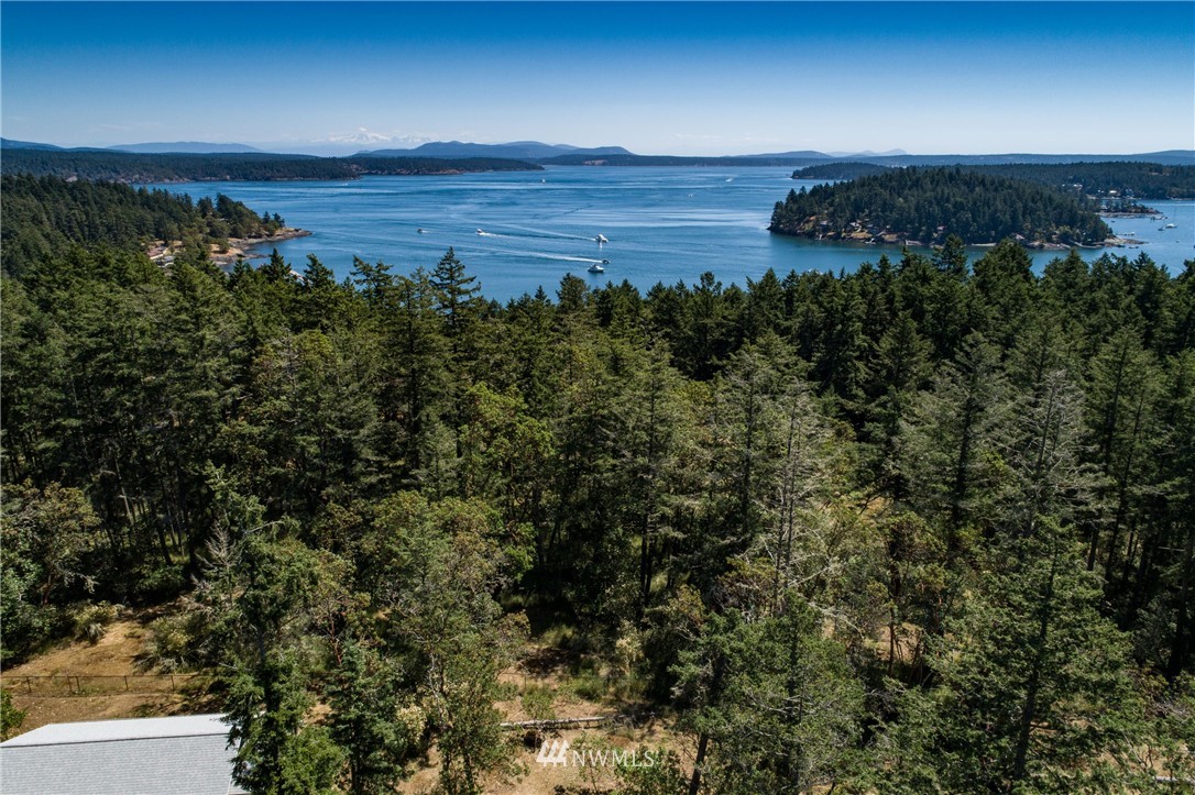 486 Finnegan Ridge Friday Harbor, WA 98250 - Photo 4 of 12 Gallery Image 4