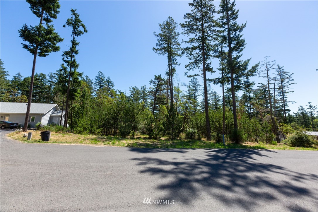 486 Finnegan Ridge Friday Harbor, WA 98250 - Photo 8 of 12 Gallery Image 8