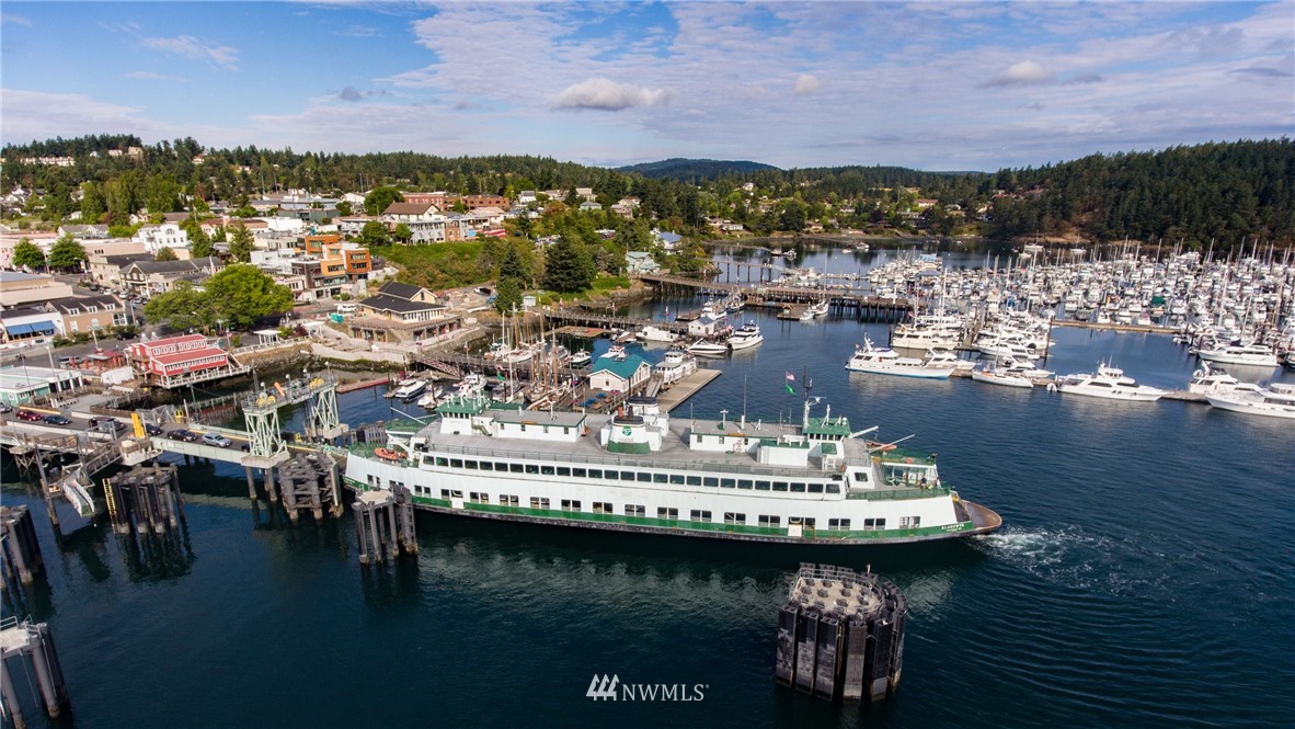 486 Finnegan Ridge Friday Harbor, WA 98250 - Photo 9 of 12 Gallery Image 9