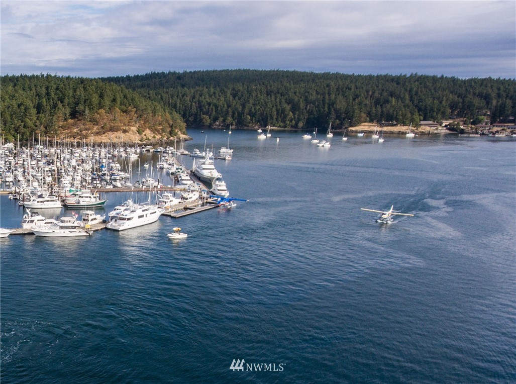 486 Finnegan Ridge Friday Harbor, WA 98250 - Photo 10 of 12 Gallery Image 10