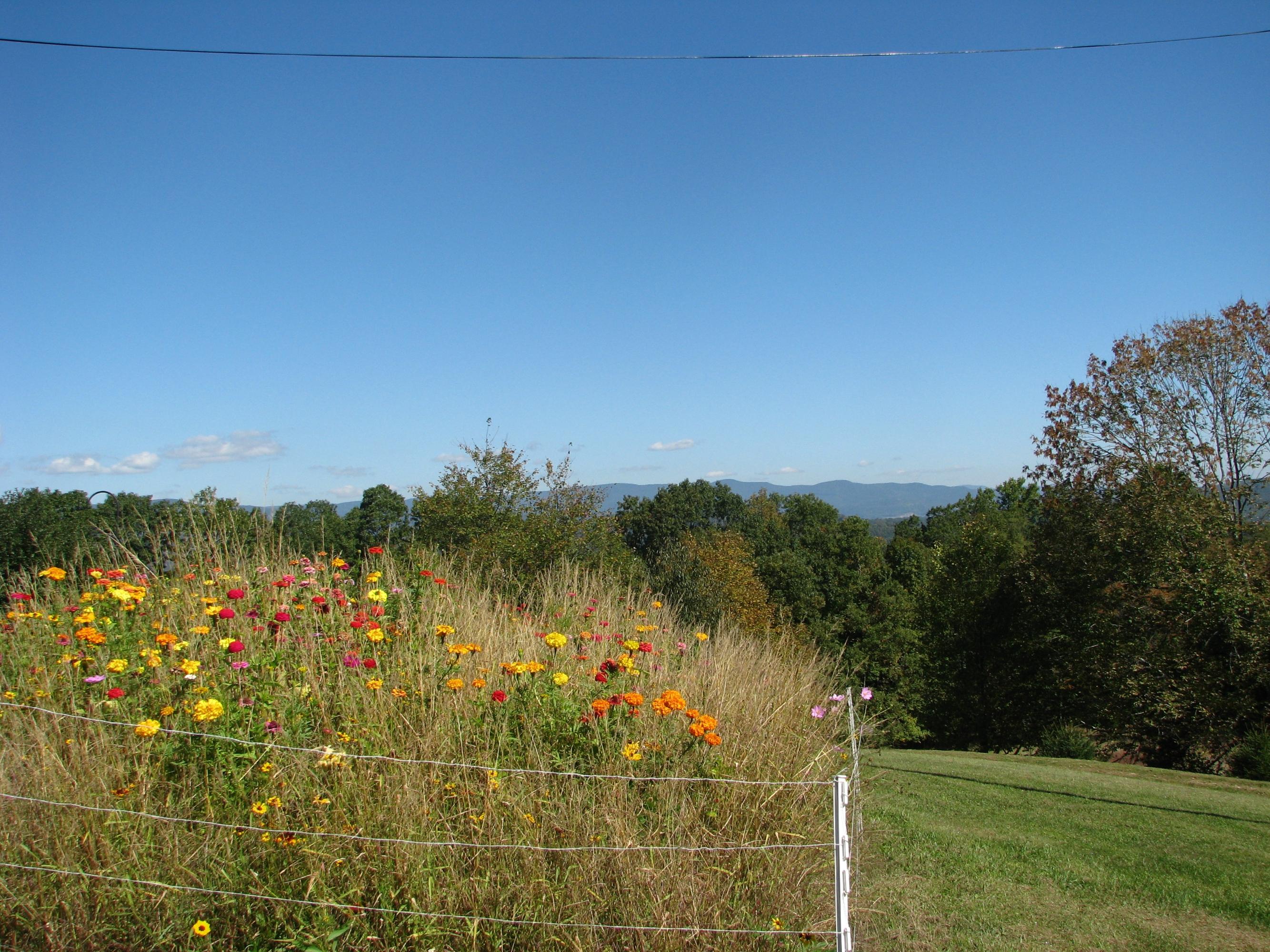 8548 Denmar Road Hillsboro, WV 24946 - Photo 11 of 38 Gallery Image 11