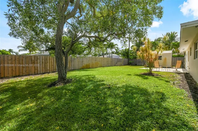 a view of a park with a tree