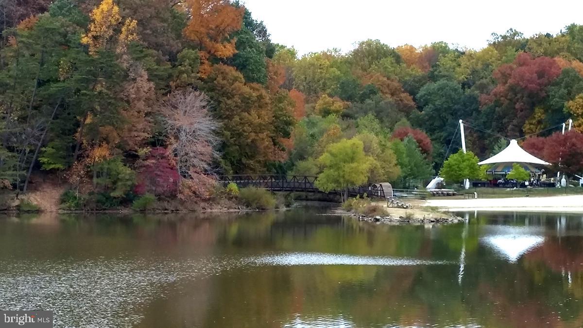 5416 Nutting Drive Springfield, VA 22151 - Photo 52 of 63