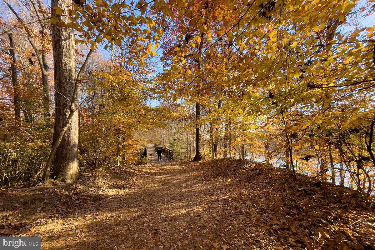 5416 Nutting Drive Springfield, VA 22151 - Photo 61 of 63