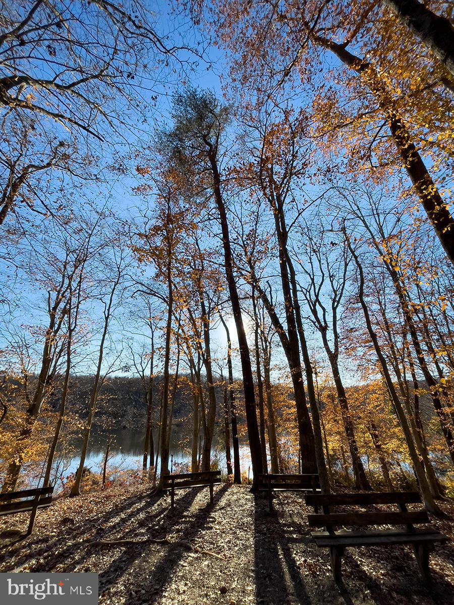 5416 Nutting Drive Springfield, VA 22151 - Photo 63 of 63