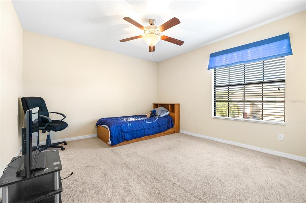 1564 Imperial Key Drive Trinity, FL 34655 - Photo 22 of 40 a blue bed sitting in a room next to a window